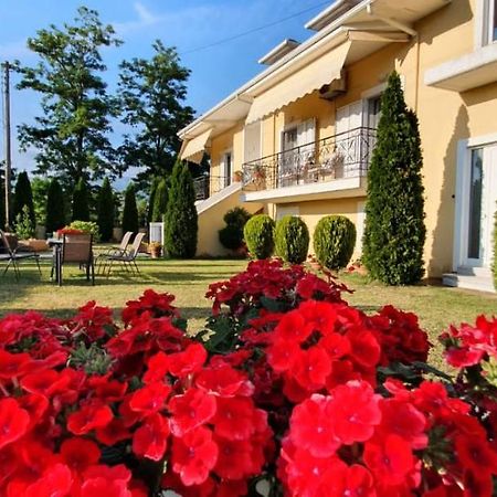 Sevi's Luxury Guesthouse Villa Ioannina Extérieur photo