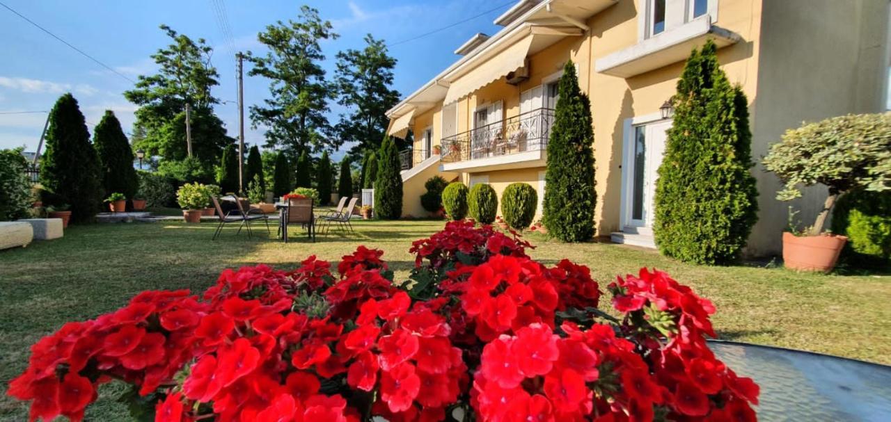 Sevi's Luxury Guesthouse Villa Ioannina Extérieur photo